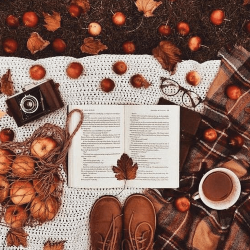 Une sélection de livre adulte à lire en automne - Grand-Mercredi