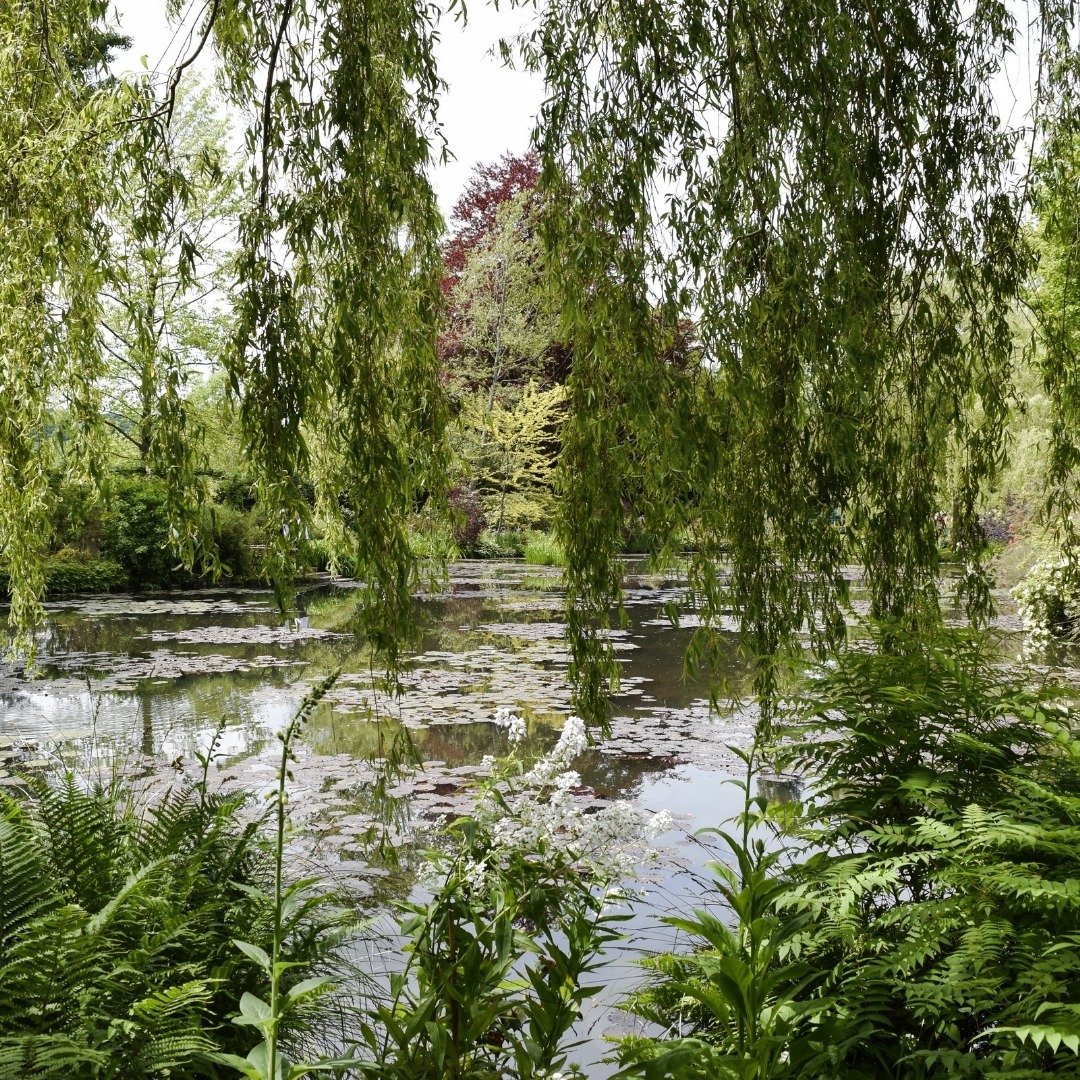 jardins Petits-Enfants