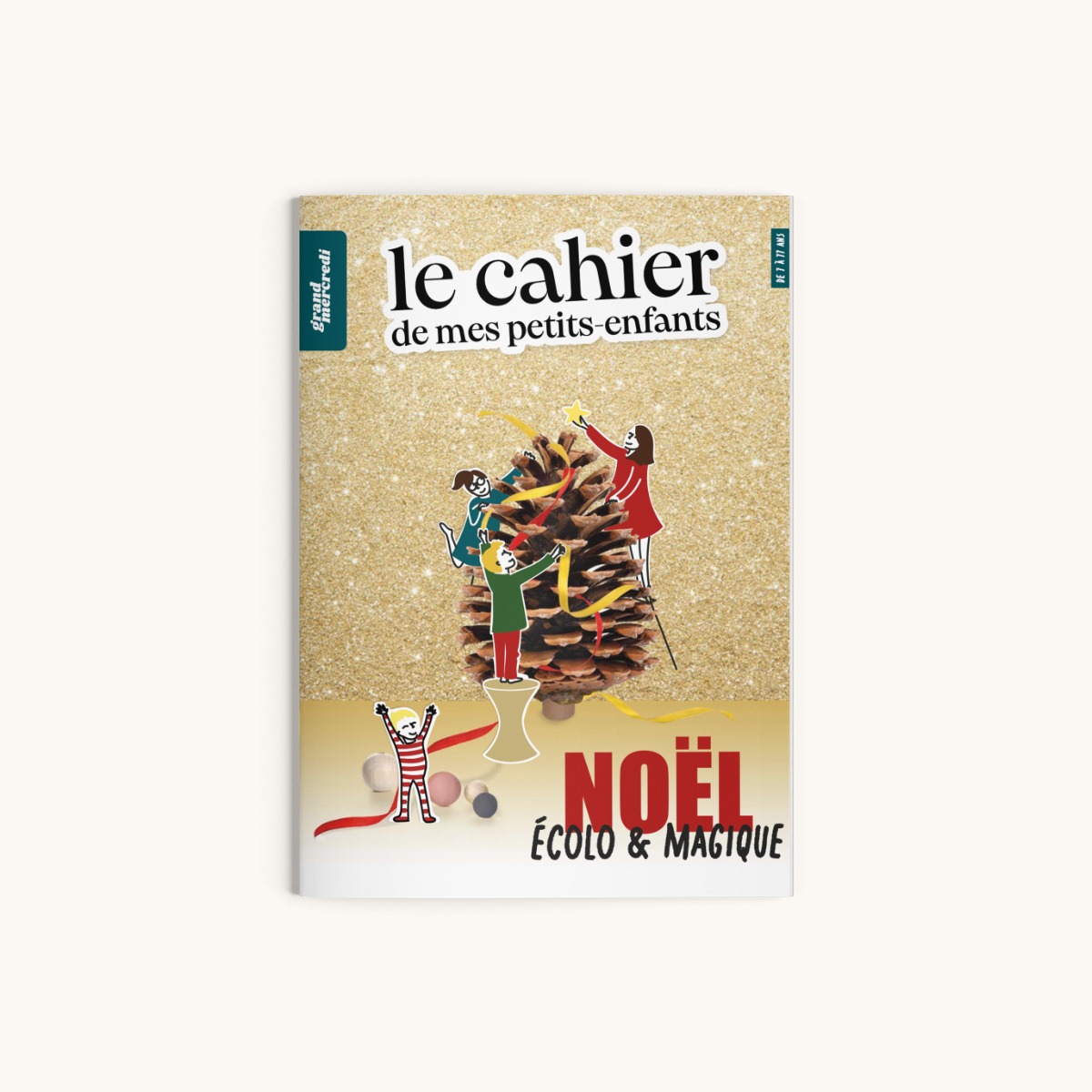 Le cahier de mes Petits-Enfants