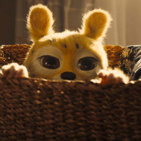 Visuel article 2025 (17)