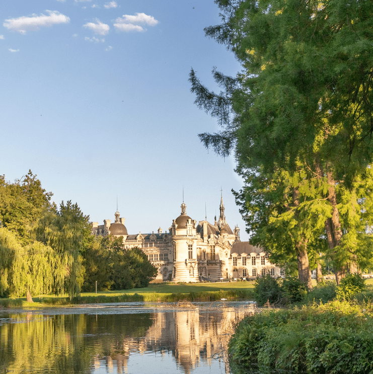 Les 5 bonnes raisons d'emmener ses Petits-Enfants au Château de Chantilly