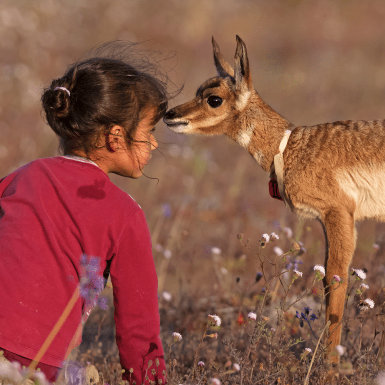 Offrez-leur une planète à la hauteur
de leurs rêves avec WWF