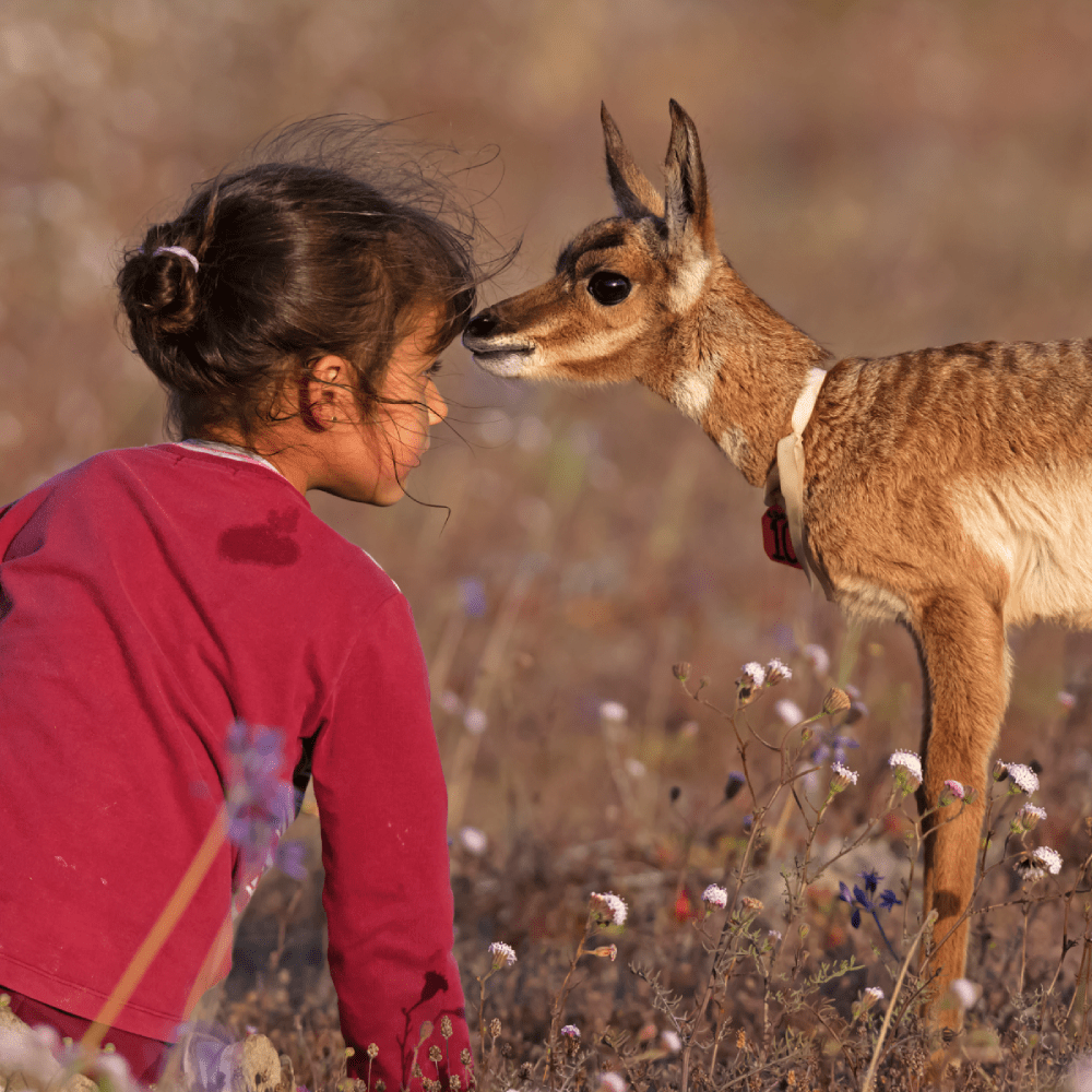 Offrez-leur une planète à la hauteur de leurs rêves avec WWF