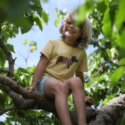 Pourquoi vos Petits-Enfants doivent se connecter aux arbres