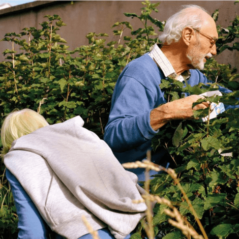 Silver Économie Familiale : Les SuperActifs, quand la retraite rime avec utilité